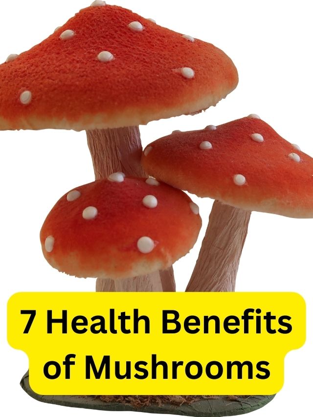 7 Health Benefits of Mushrooms
